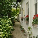 Eminescu, Tunari, imobil singur curte, comision 0, inchiriat la 1.400 euro